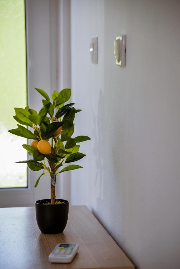 Apartment Nikola كوتور المظهر الخارجي الصورة